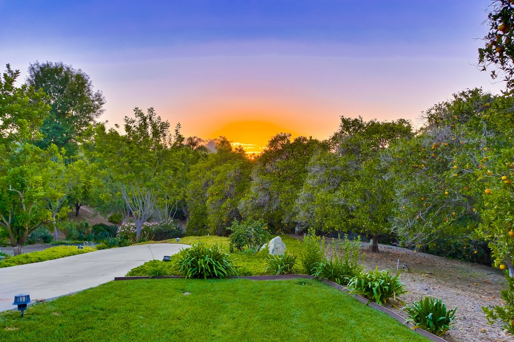 Virtual tour photo 50 of 63 for 18135 Querida Sol