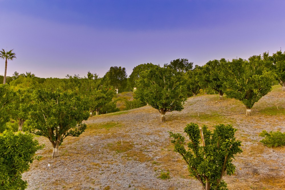 Virtual tour photo 51 of 63 for 18135 Querida Sol