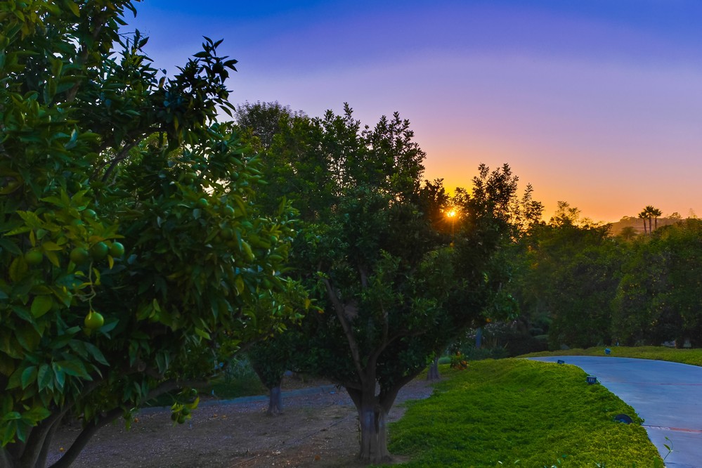 Virtual tour photo 59 of 63 for 18135 Querida Sol