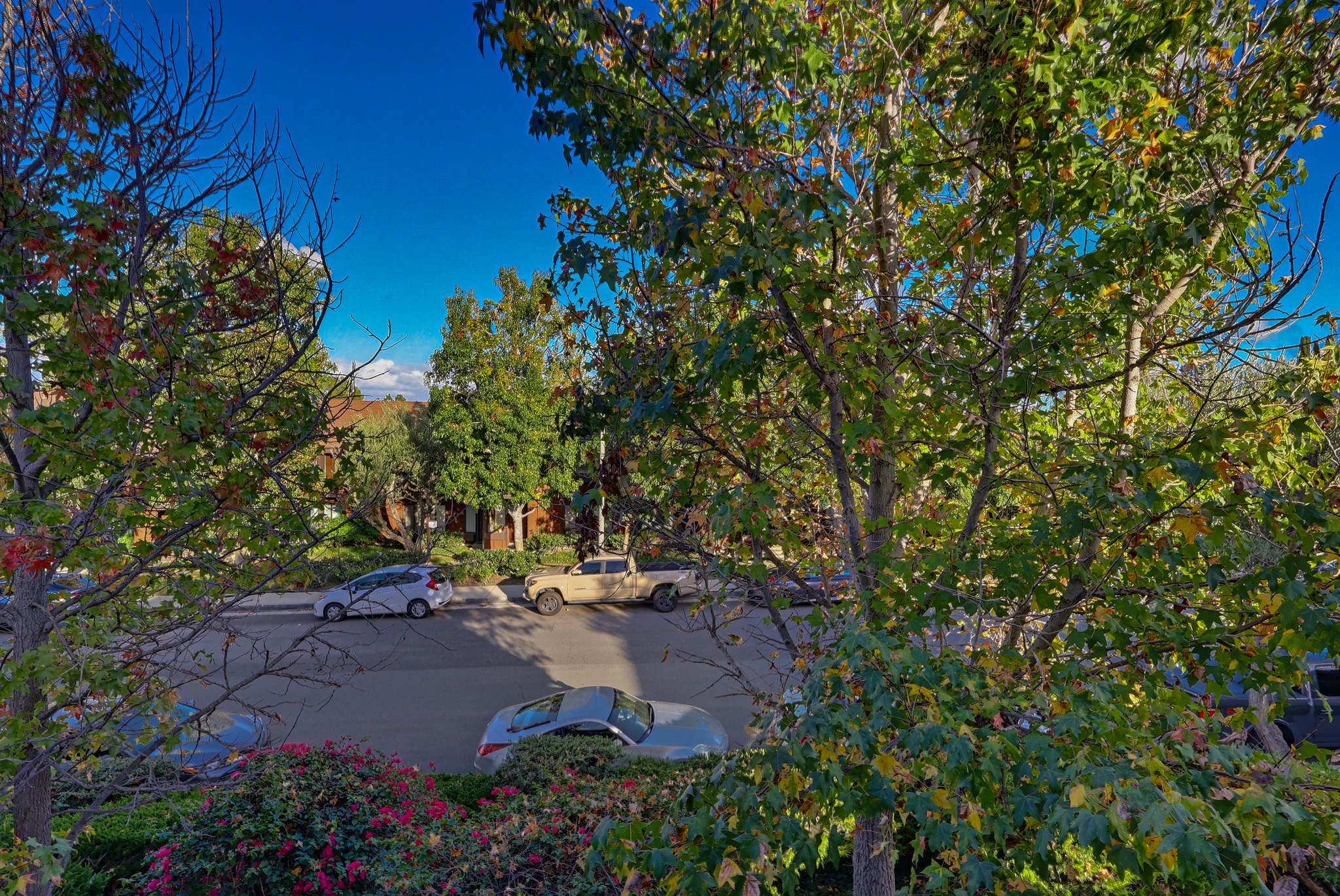 Virtual tour photo 75 of 94 for 1817 Mt Shasta Dr