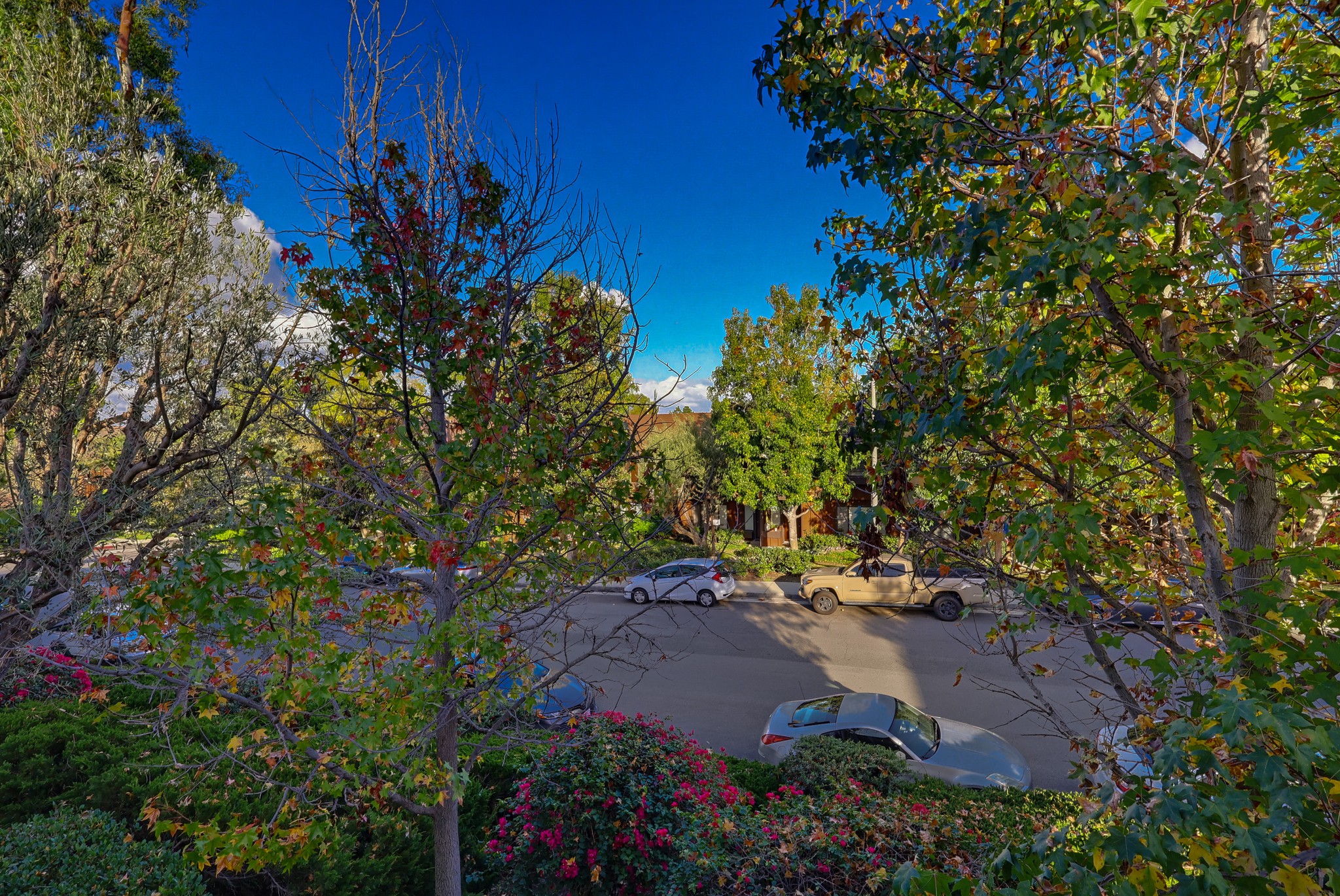 Virtual tour photo 76 of 94 for 1817 Mt Shasta Dr