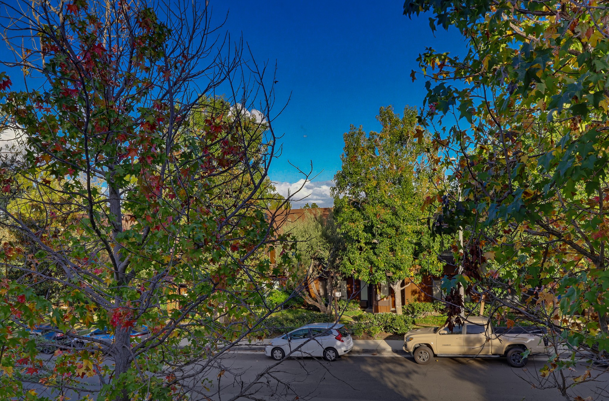 Virtual tour photo 77 of 94 for 1817 Mt Shasta Dr
