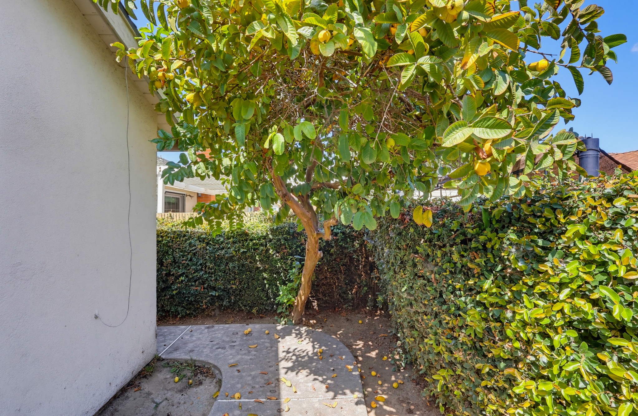Virtual tour photo 62 of 72 for 18406 Maria Pl