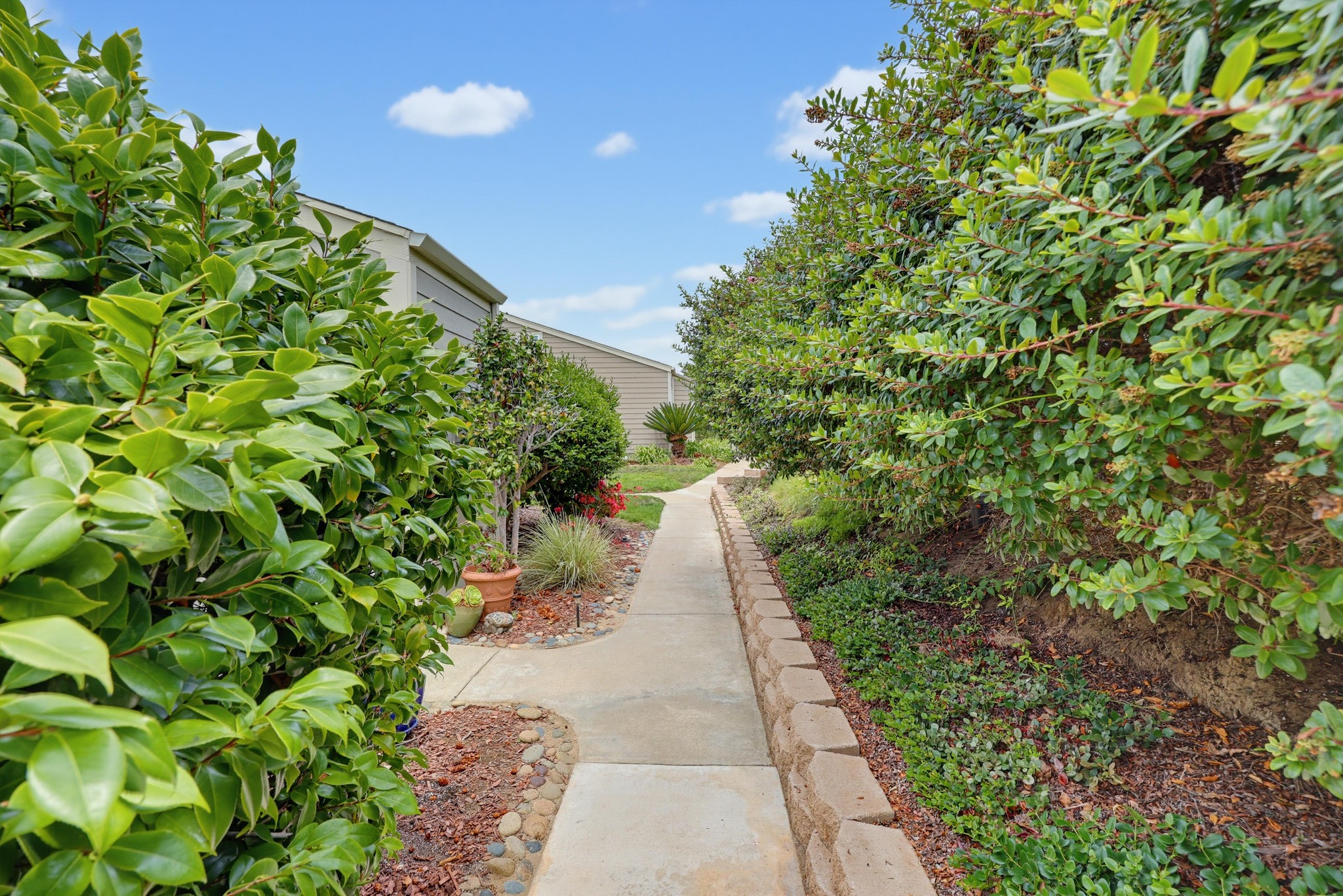 Virtual tour photo 107 of 131 for 1844 Haymarket Rd