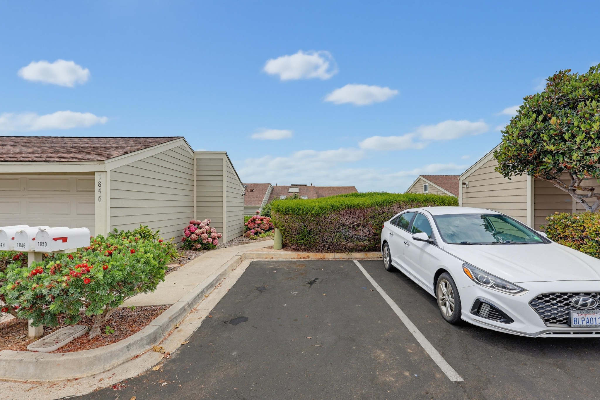 Virtual tour photo 118 of 131 for 1844 Haymarket Rd