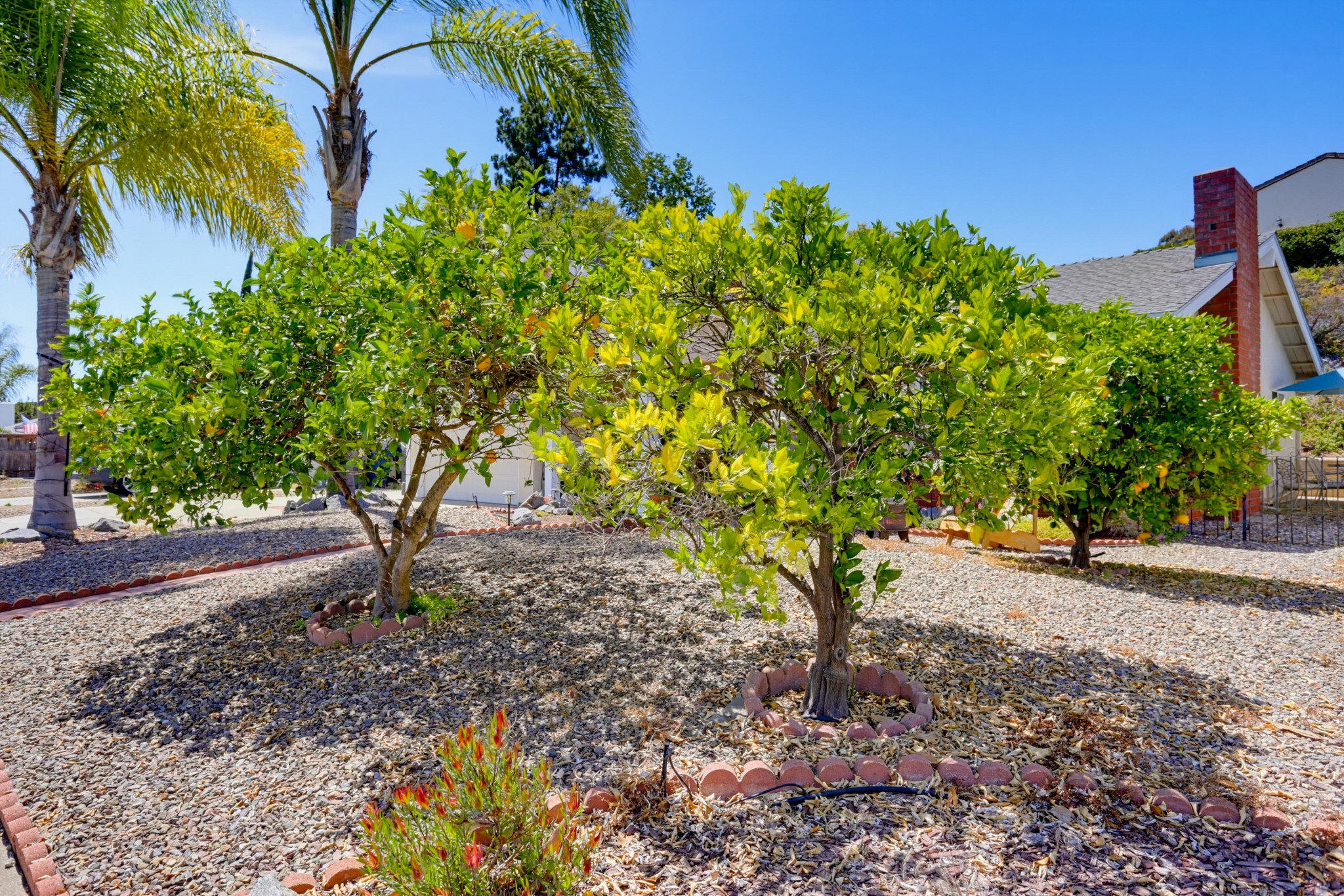 Virtual tour photo 4 of 32 for 1920 Louis Dr
