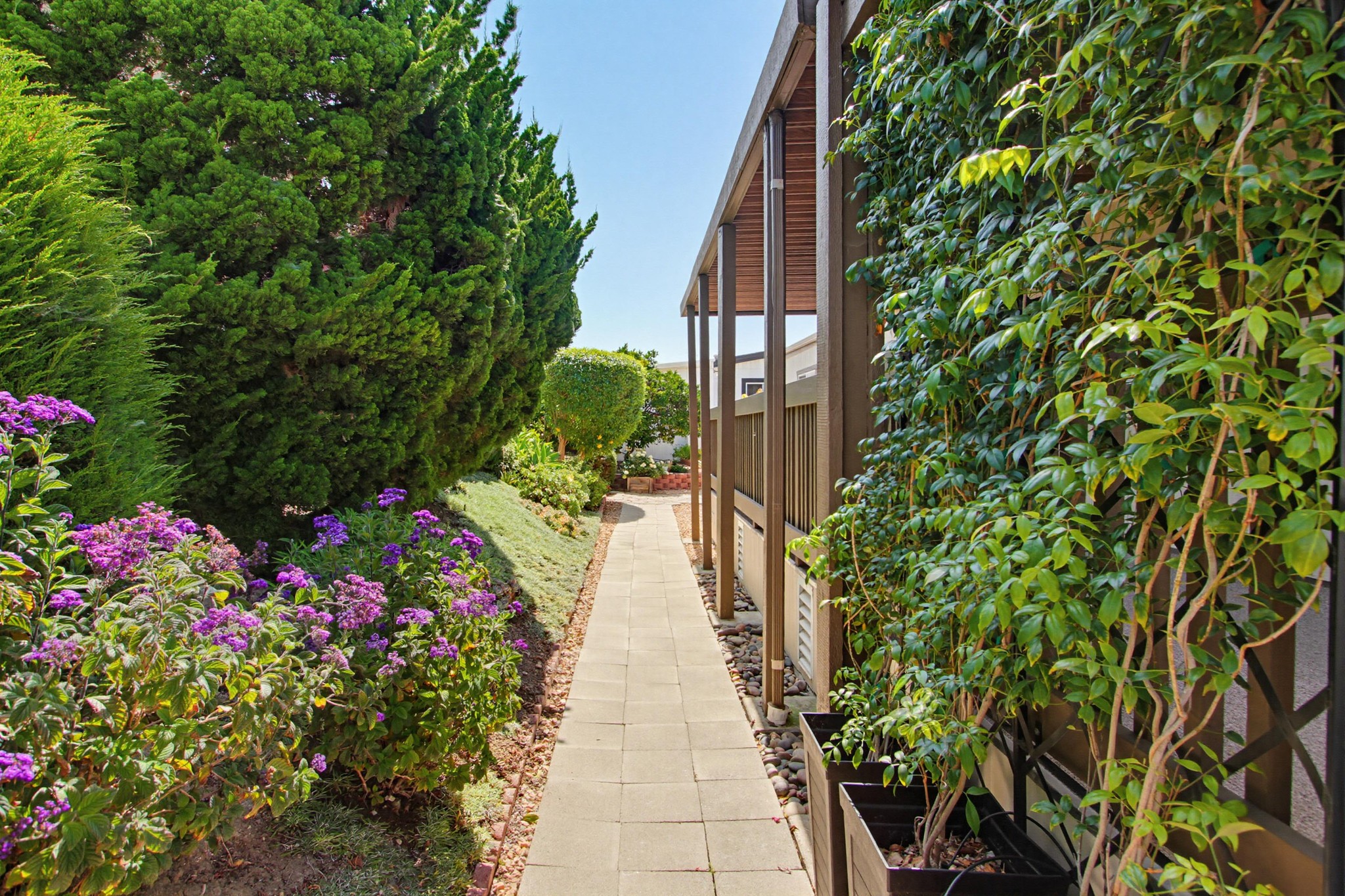 Virtual tour photo 6 of 58 for 1930 W San Marcos Blvd Spc 353