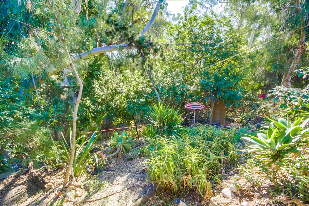 Virtual tour photo 19 of 39 for 1933 Fern St