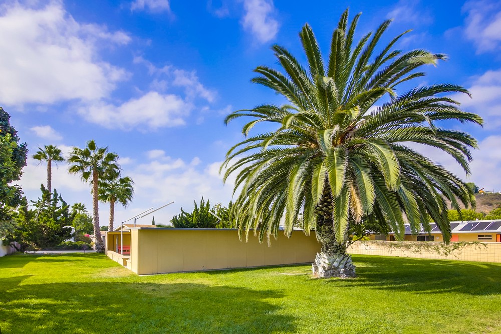 Virtual tour photo 62 of 71 for 1951 47th St