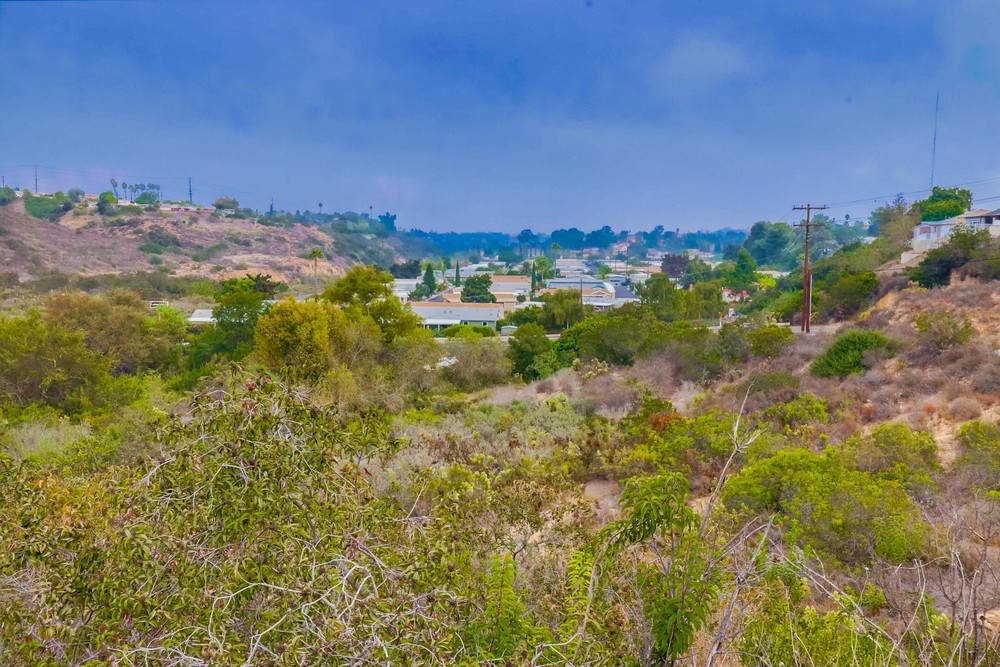 Virtual tour photo 3 of 8 for 1951 47th St