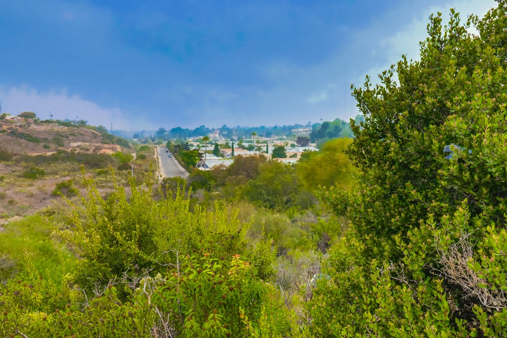 Virtual tour photo 8 of 8 for 1951 47th St