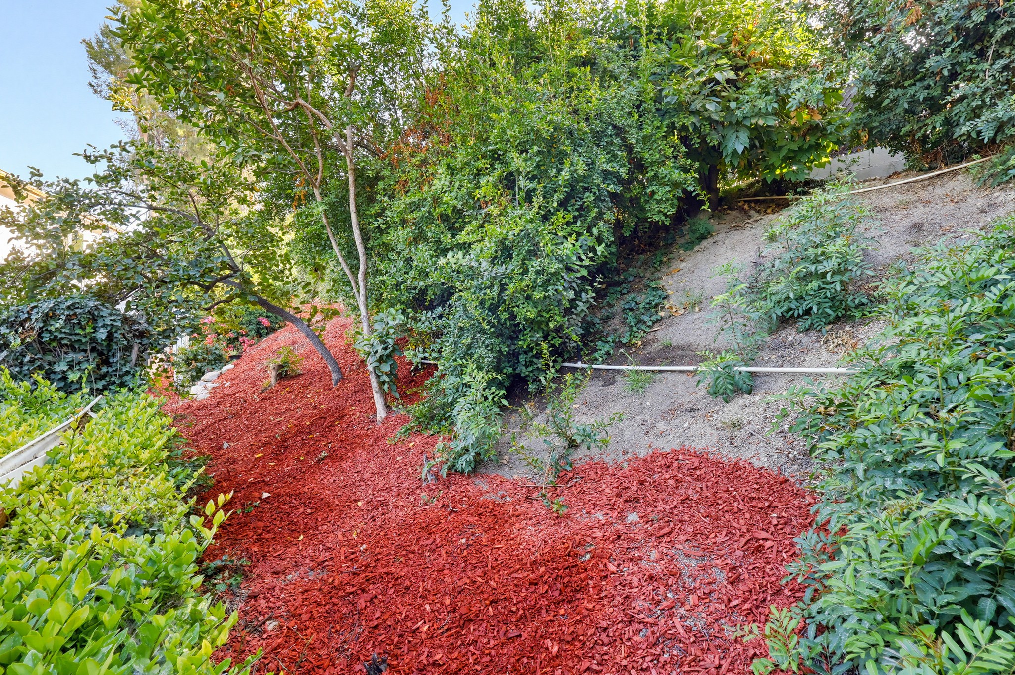 Virtual tour photo 134 of 141 for 19601 Mackel Terrace