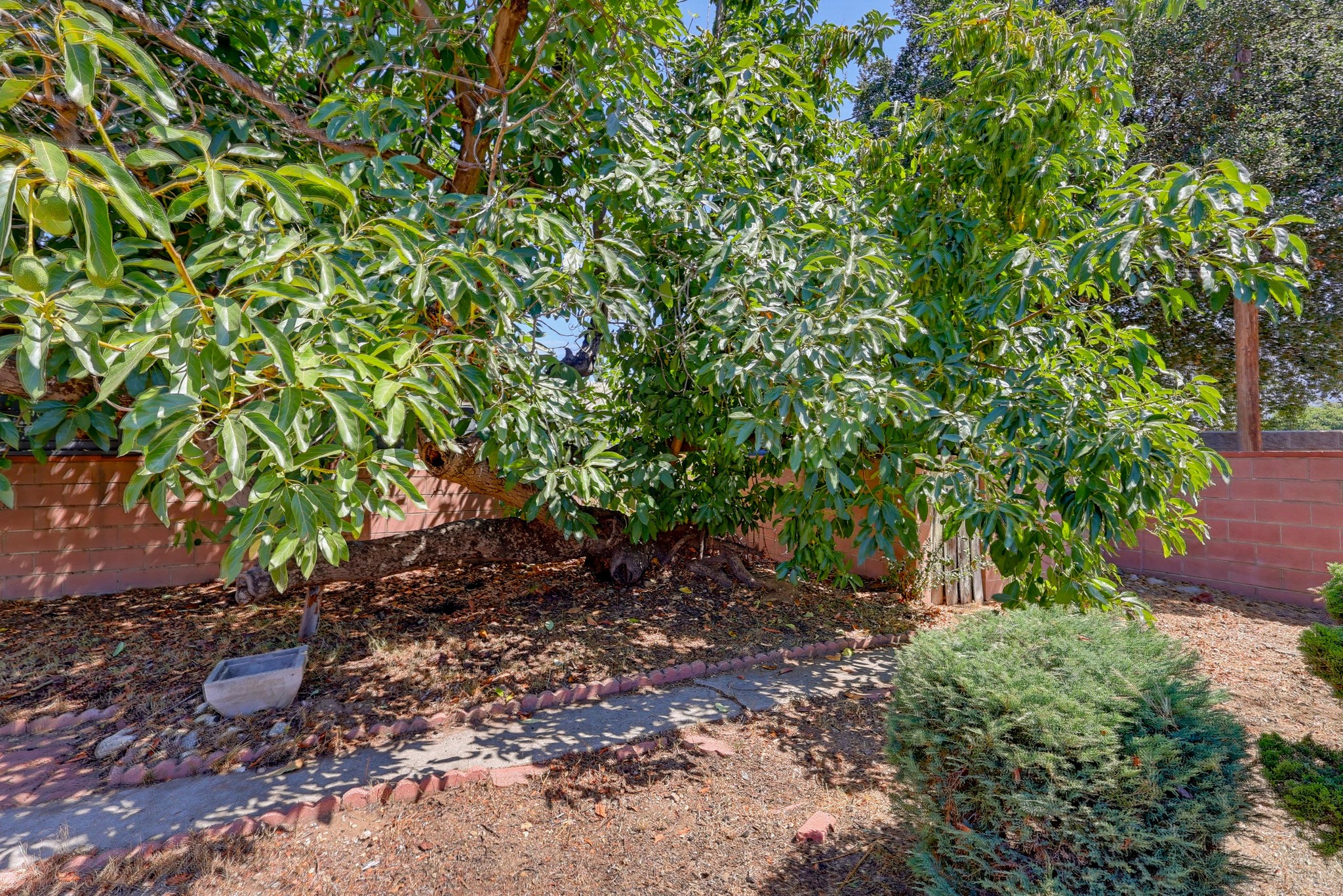 Virtual tour photo 83 of 87 for 1980 N Arroyo Blvd