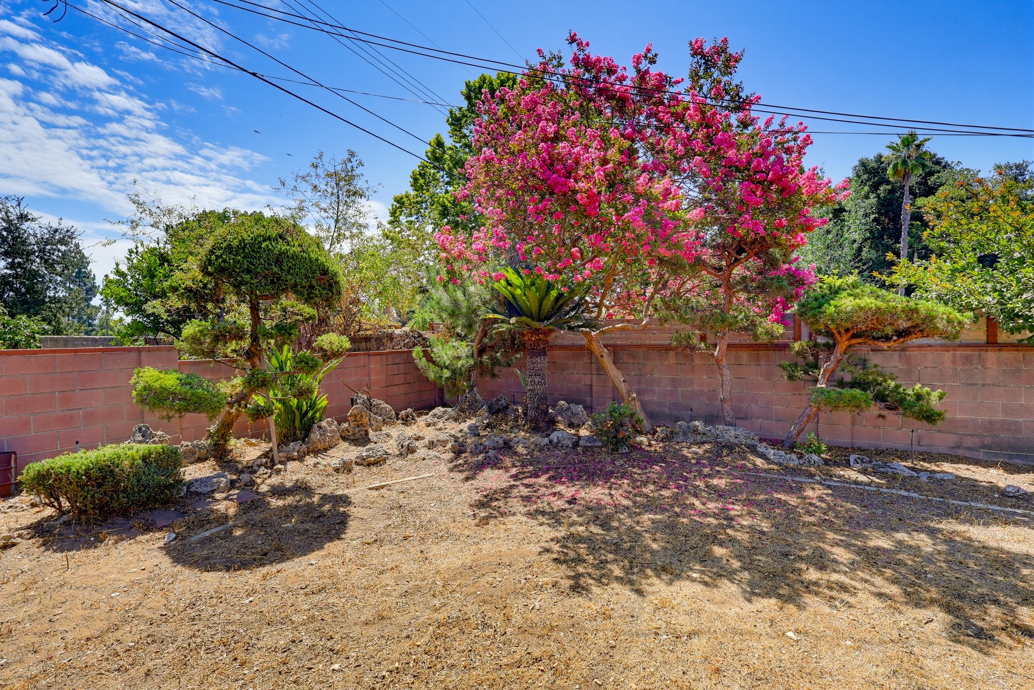 Virtual tour photo 85 of 87 for 1980 N Arroyo Blvd