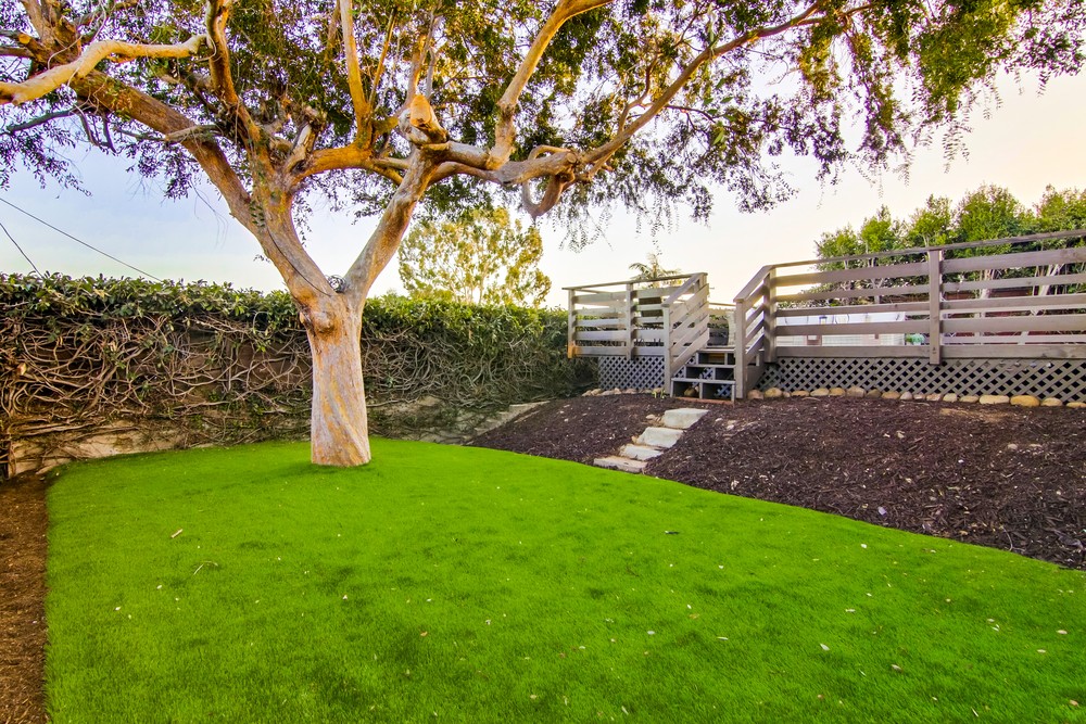 Virtual tour photo 53 of 65 for 1985 Petra Dr