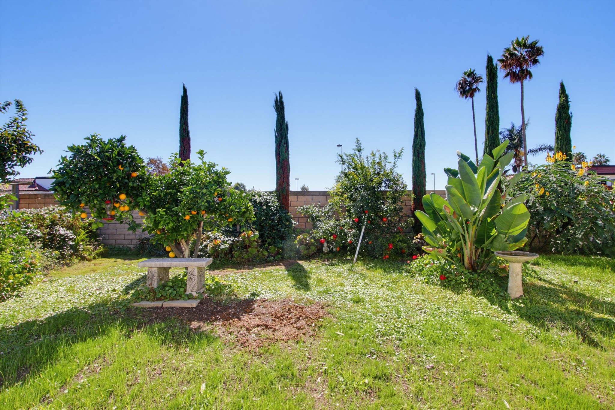 Virtual tour photo 44 of 51 for 200 N El Camino Real Spc 15