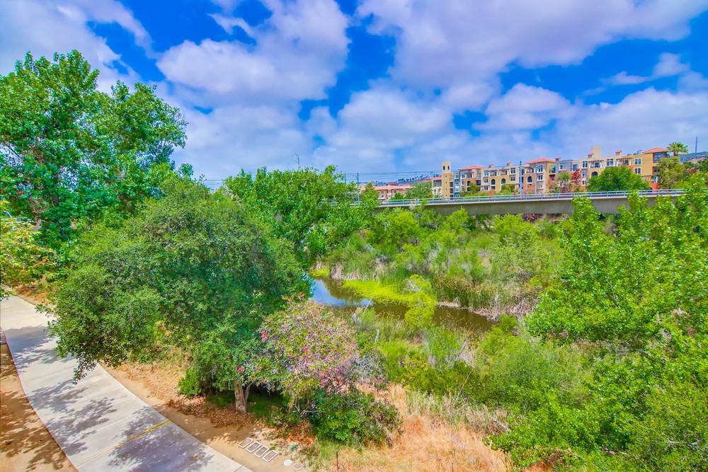 Virtual tour photo 24 of 37 for 2020 Camino De La Reina ste 314