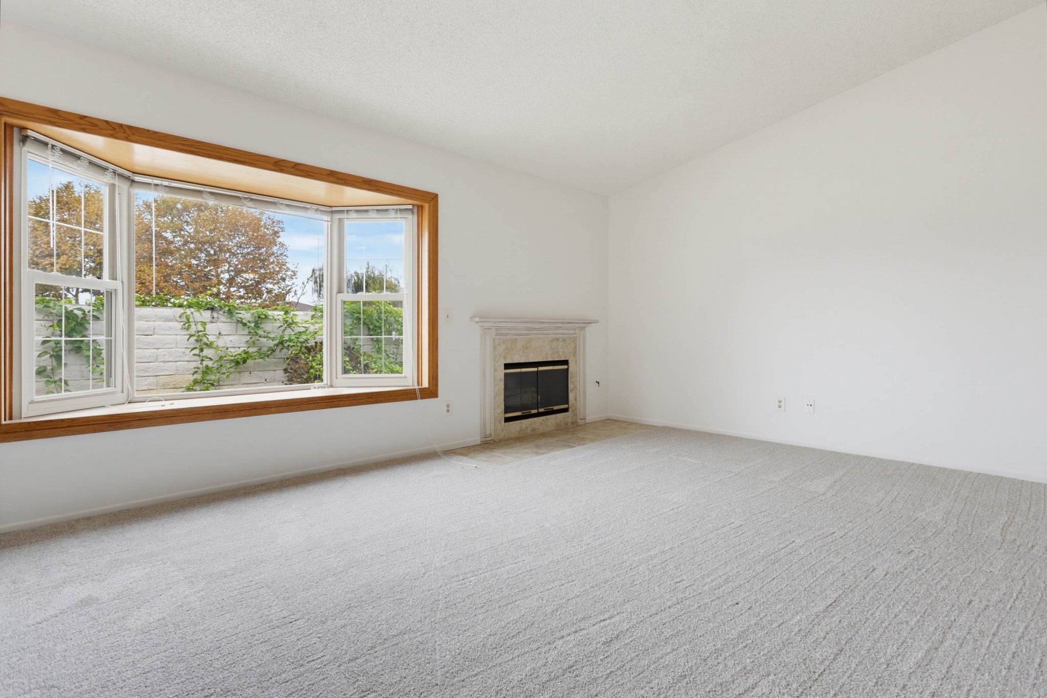 Virtual tour photo 10 of 36 for 203 Carissa Dr