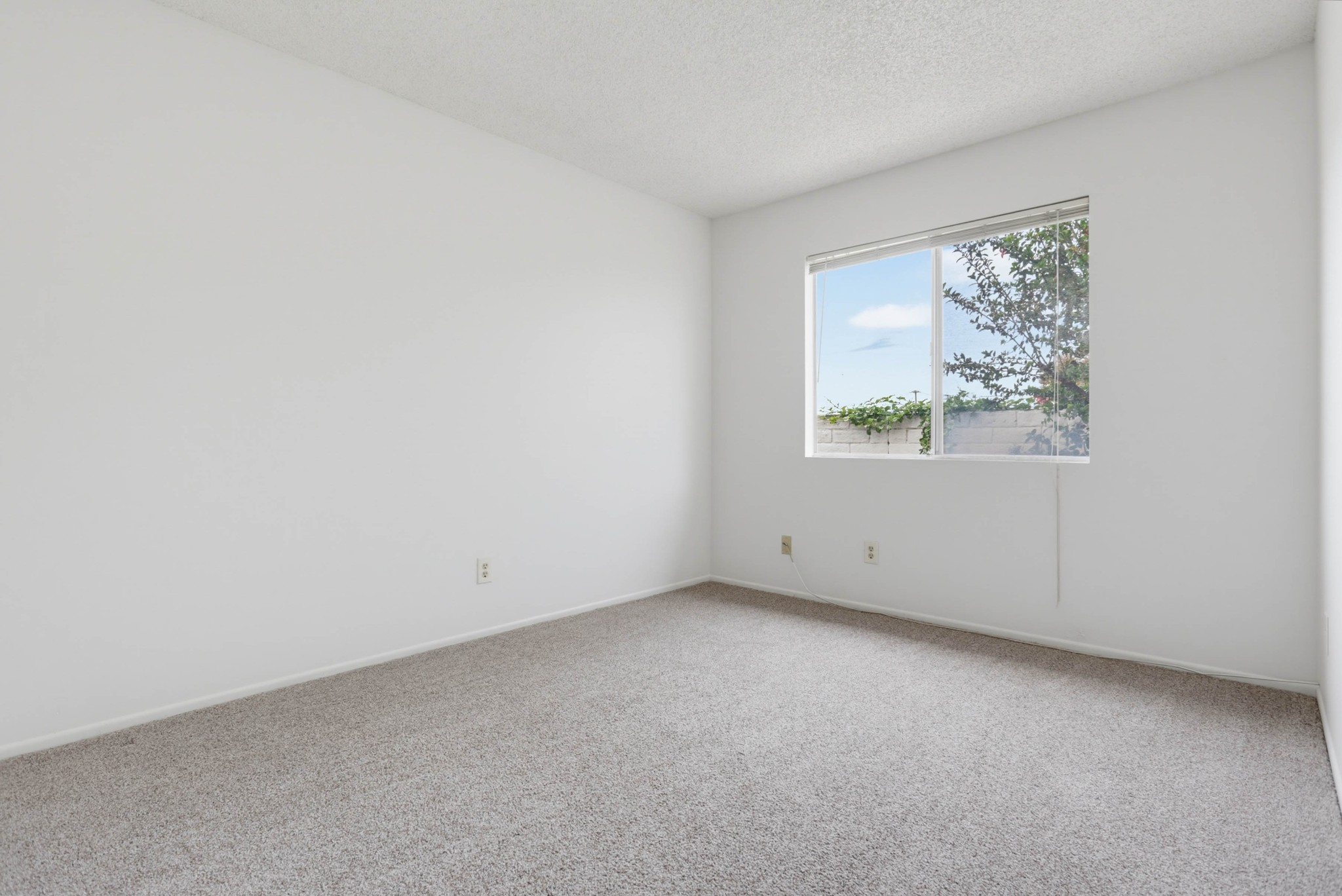 Virtual tour photo 24 of 36 for 203 Carissa Dr