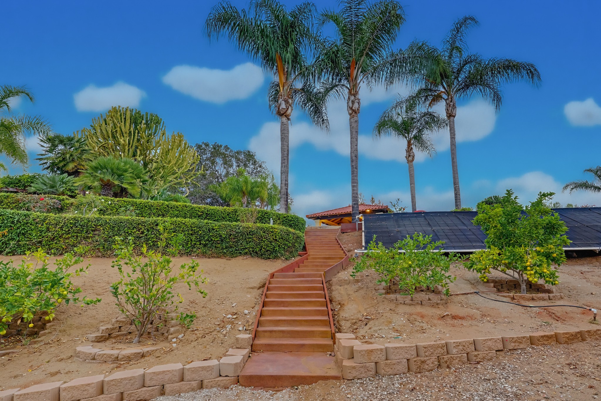 Virtual tour photo 26 of 123 for 2037 Via Trueno
