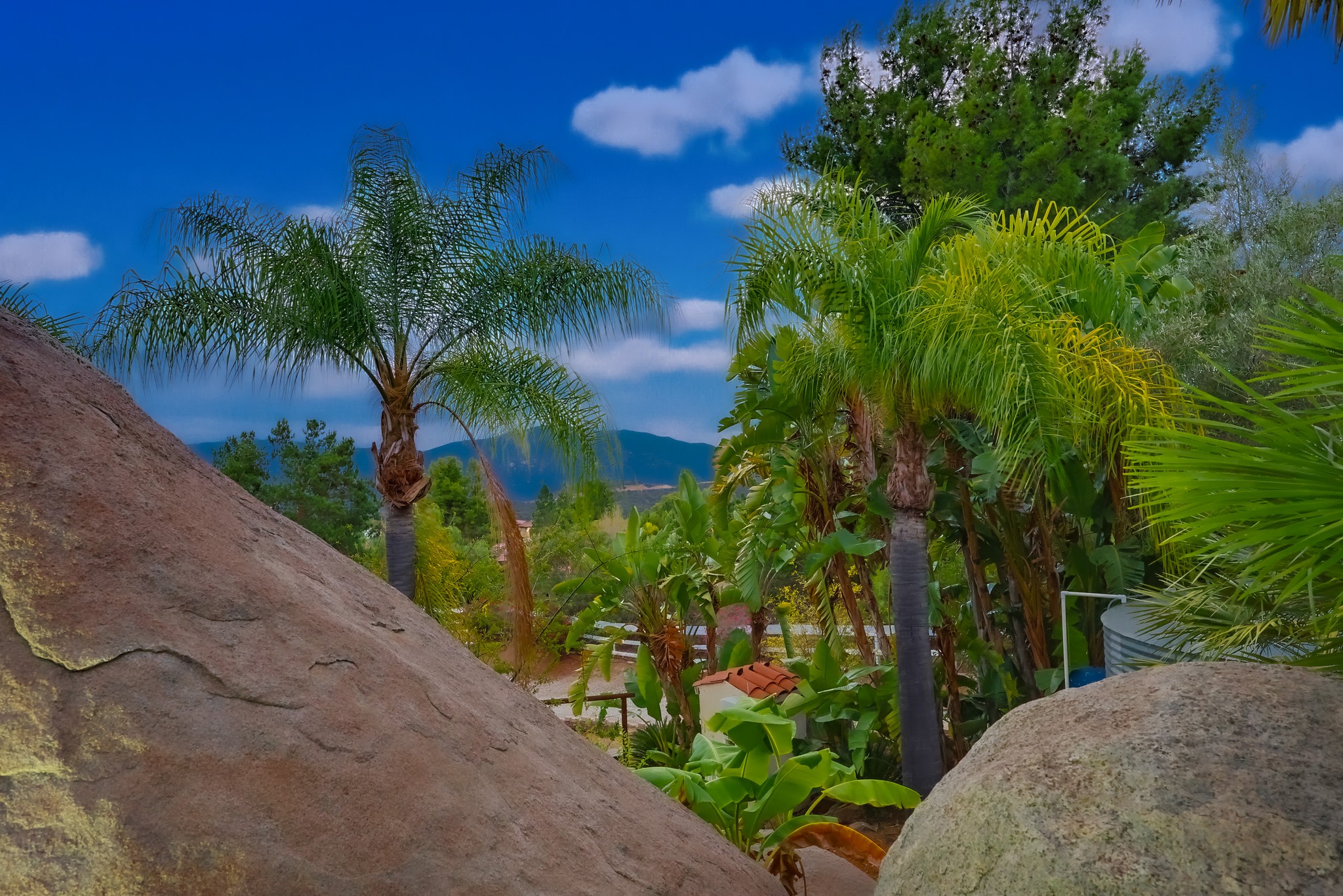 Virtual tour photo 38 of 123 for 2037 Via Trueno