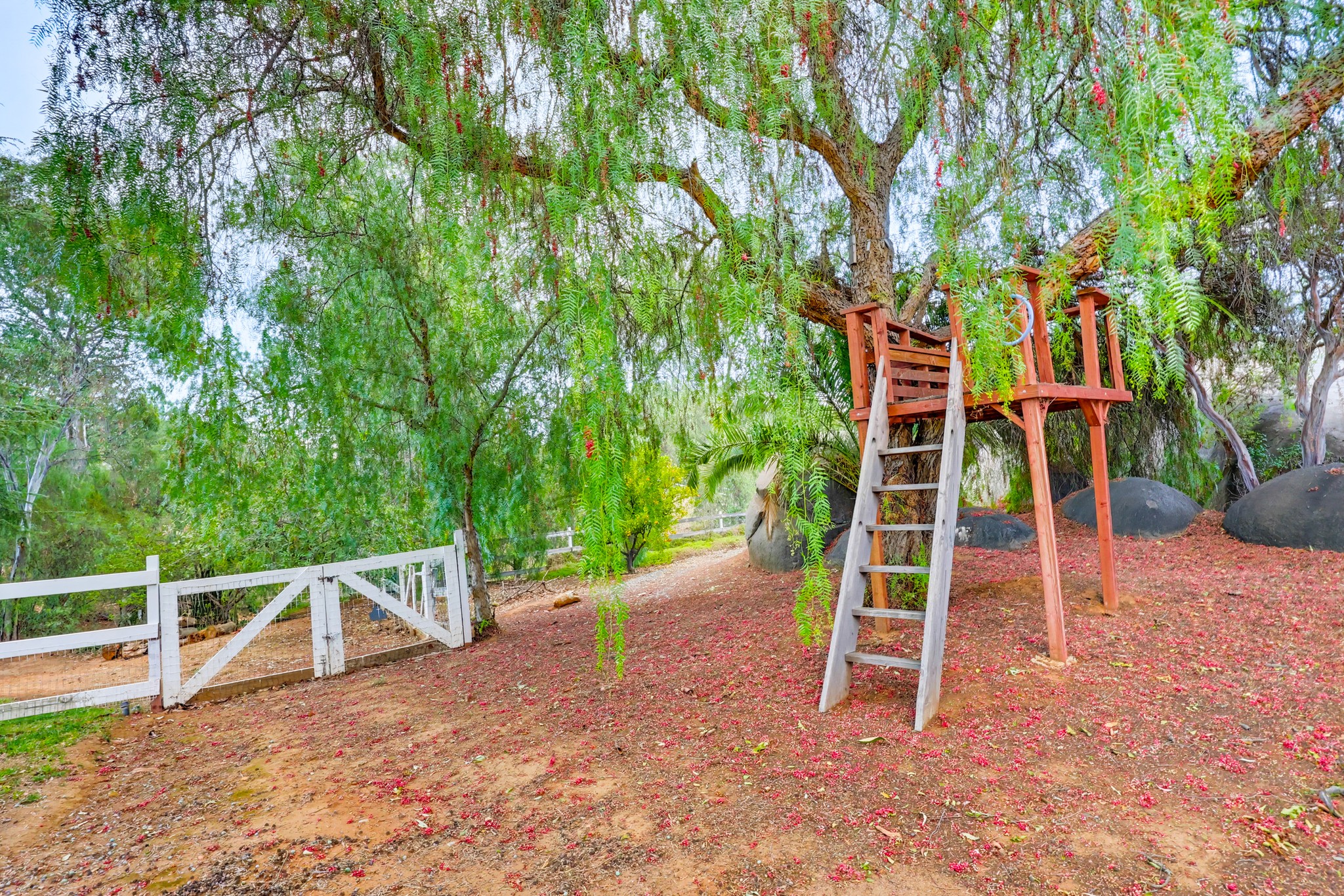 Virtual tour photo 84 of 123 for 2037 Via Trueno