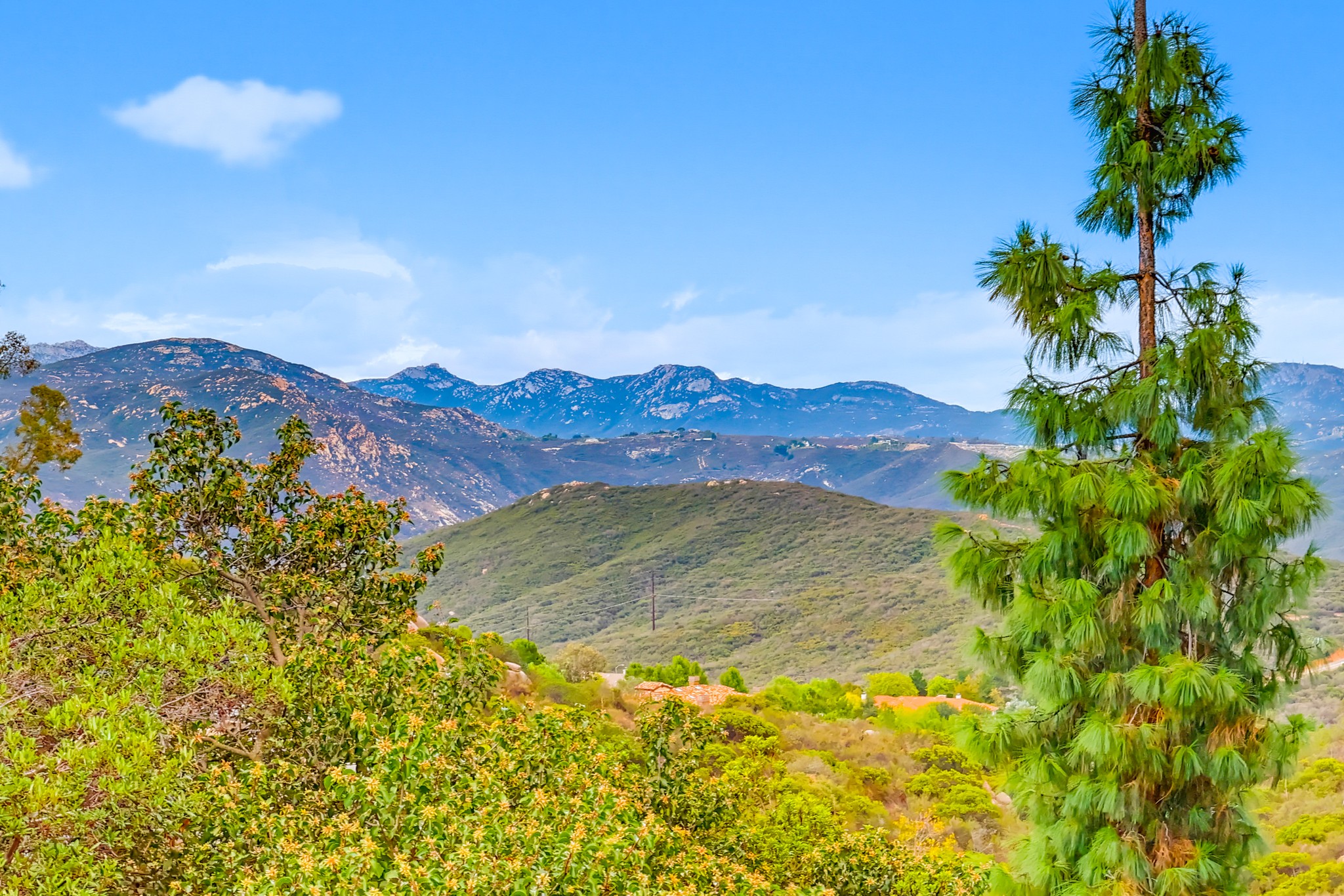 Virtual tour photo 93 of 123 for 2037 Via Trueno