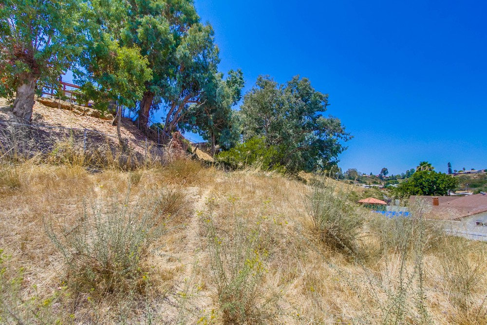 Virtual tour photo 56 of 57 for 2038 Alta View Dr