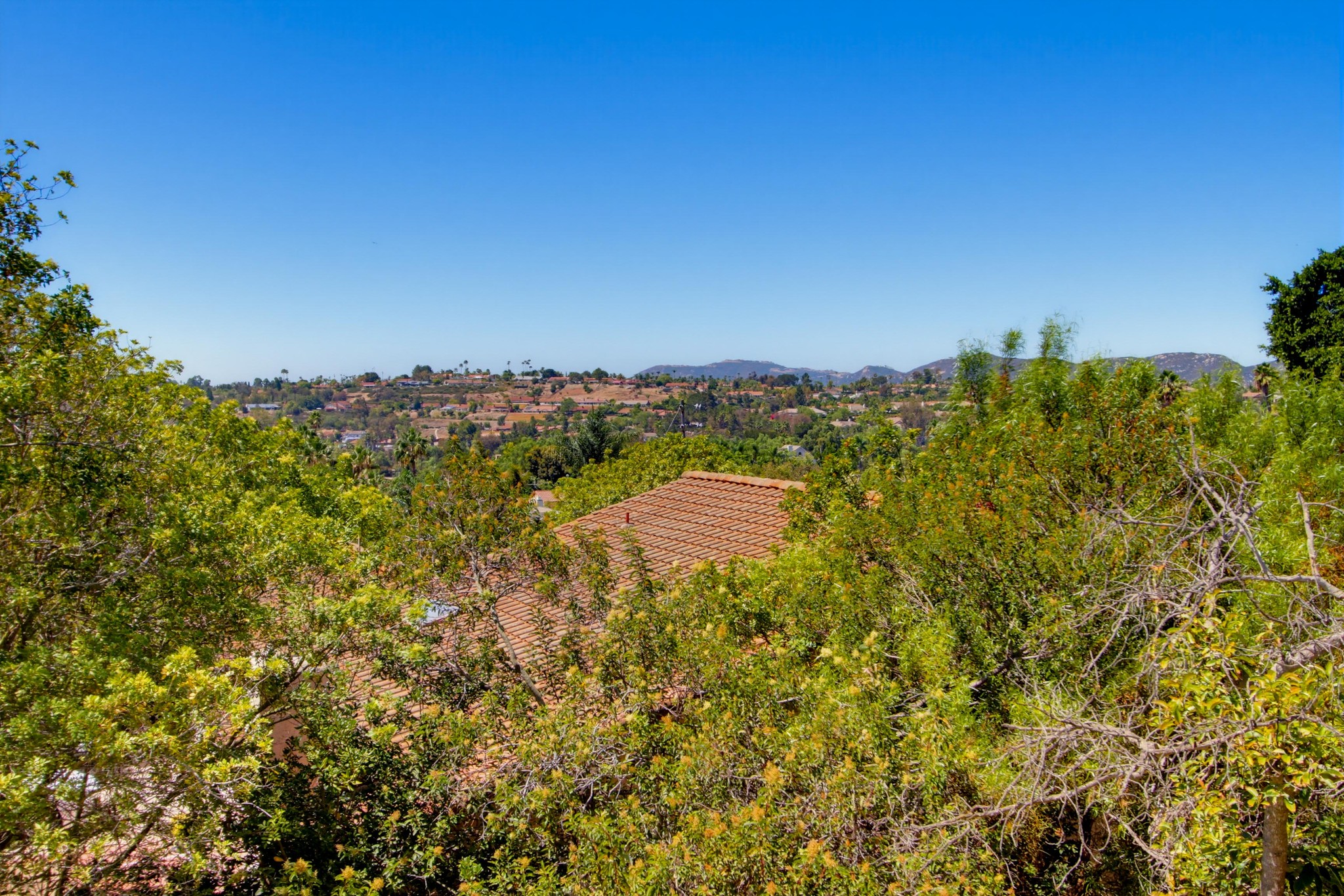 Virtual tour photo 48 of 73 for 2039 Lemon Ave