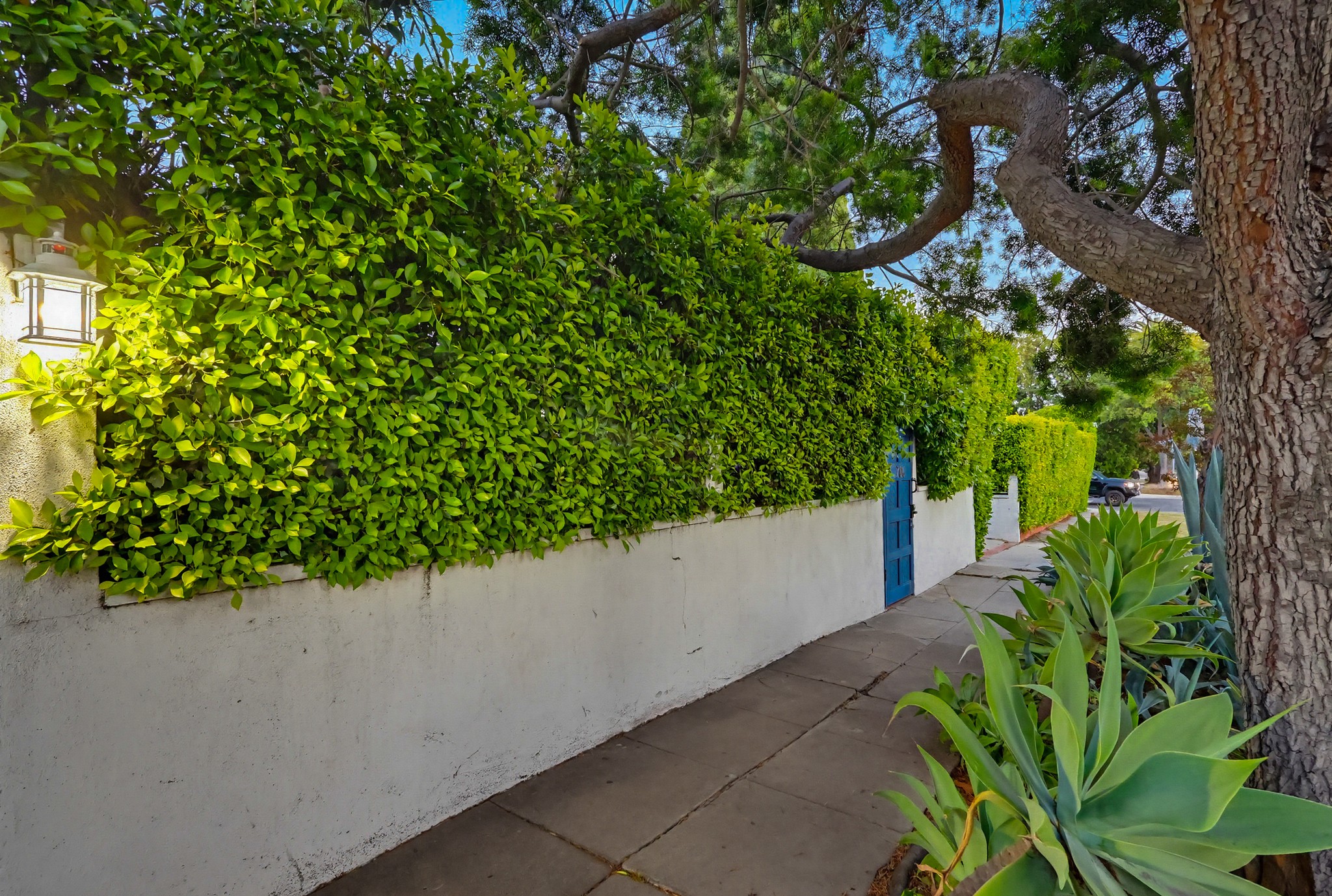 Virtual tour photo 4 of 119 for 206 N Wilton Pl