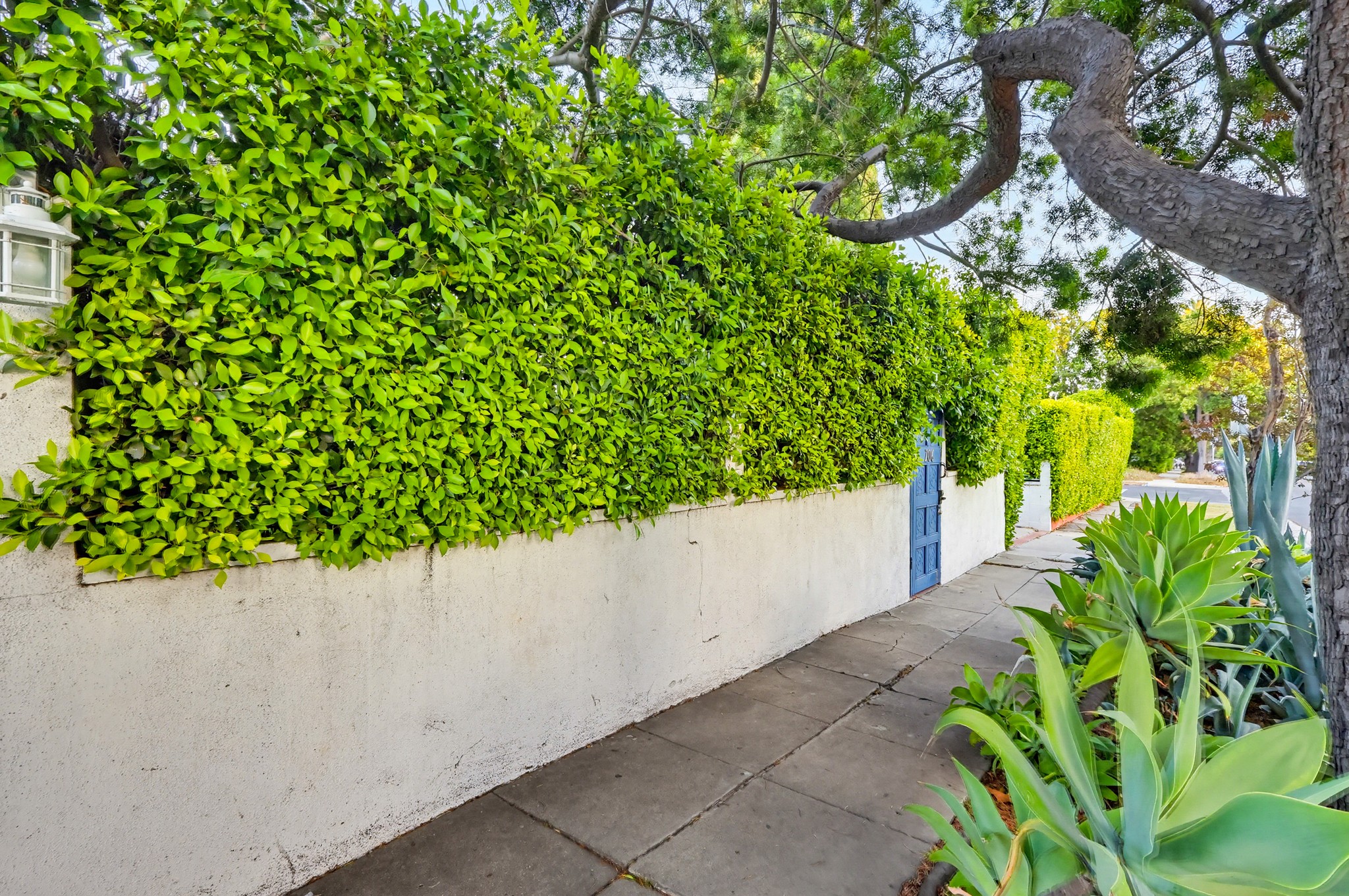 Virtual tour photo 94 of 119 for 206 N Wilton Pl