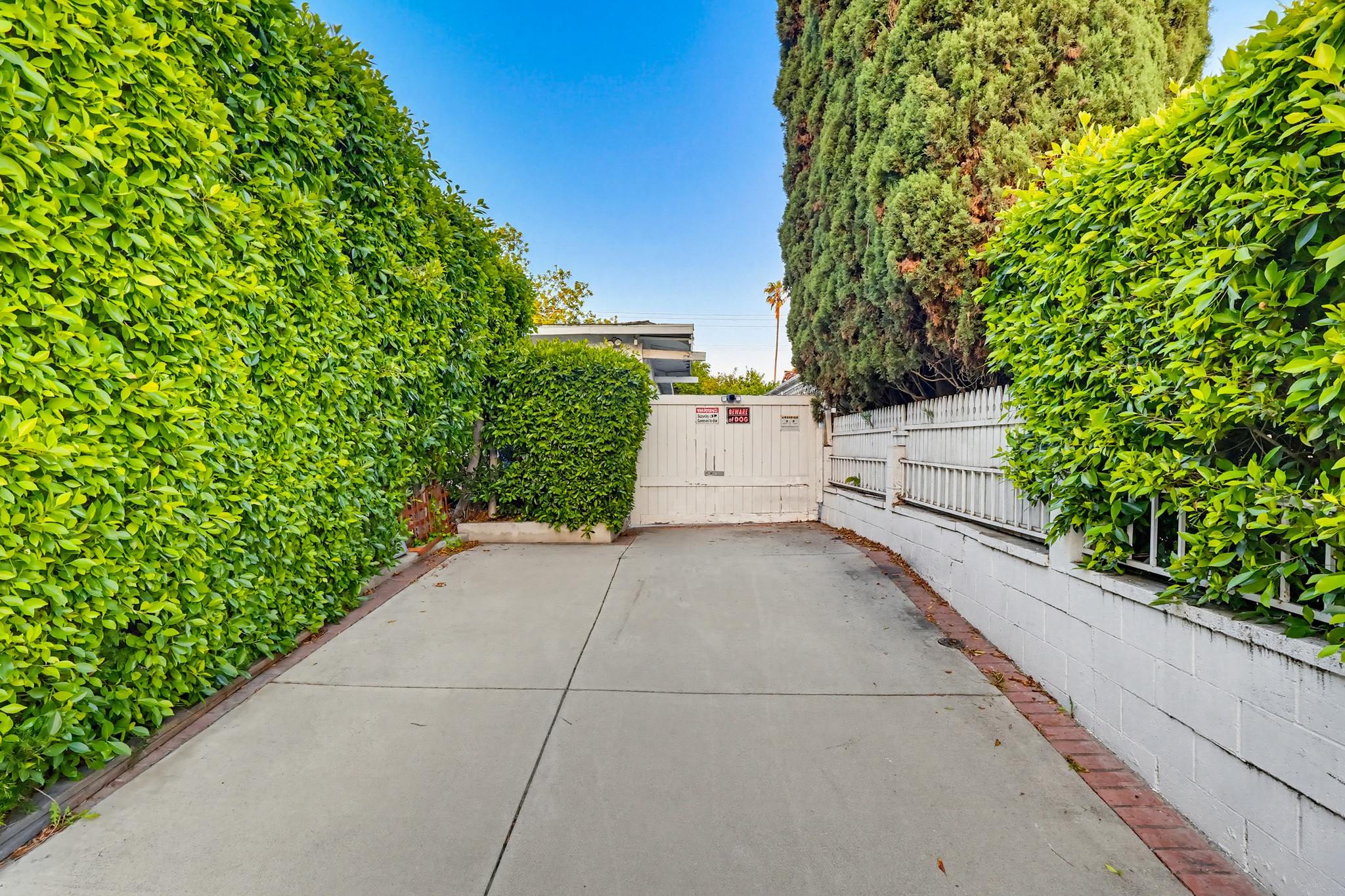 Virtual tour photo 101 of 119 for 206 N Wilton Pl