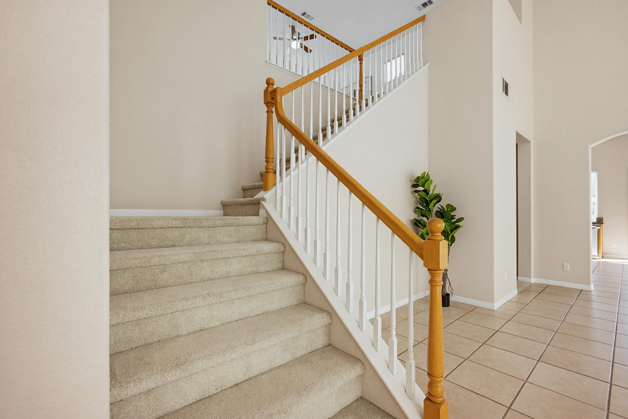 Virtual tour photo 43 of 71 for 21 Vista Palermo