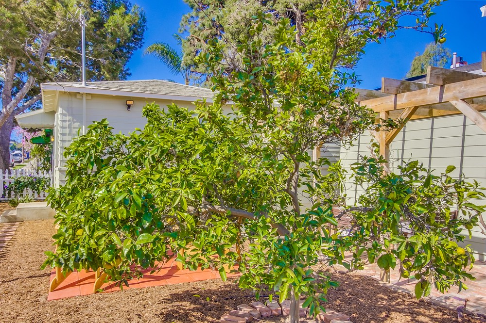 Virtual tour photo 36 of 37 for 2144 Froude Street