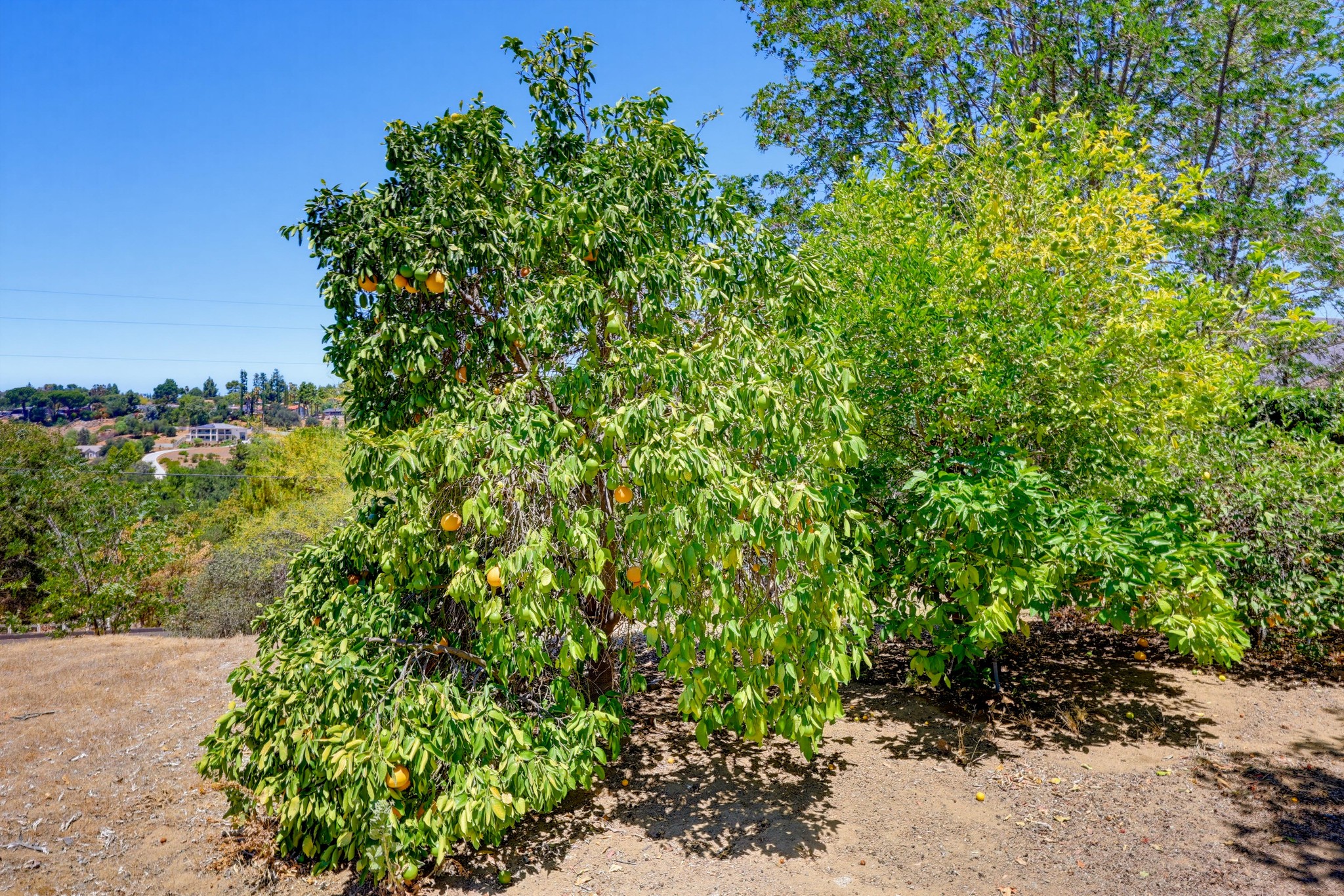 Virtual tour photo 113 of 124 for 2185 Via Dieguenos