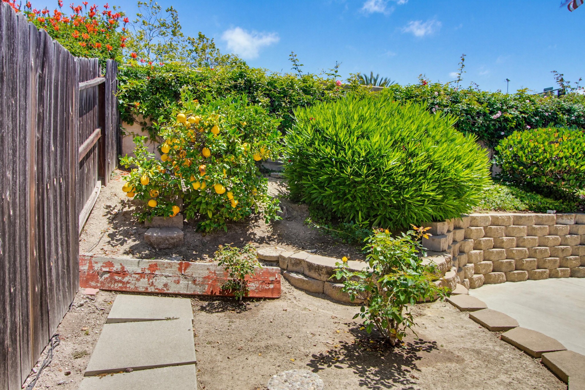 Virtual tour photo 51 of 54 for 2194 Luz Way
