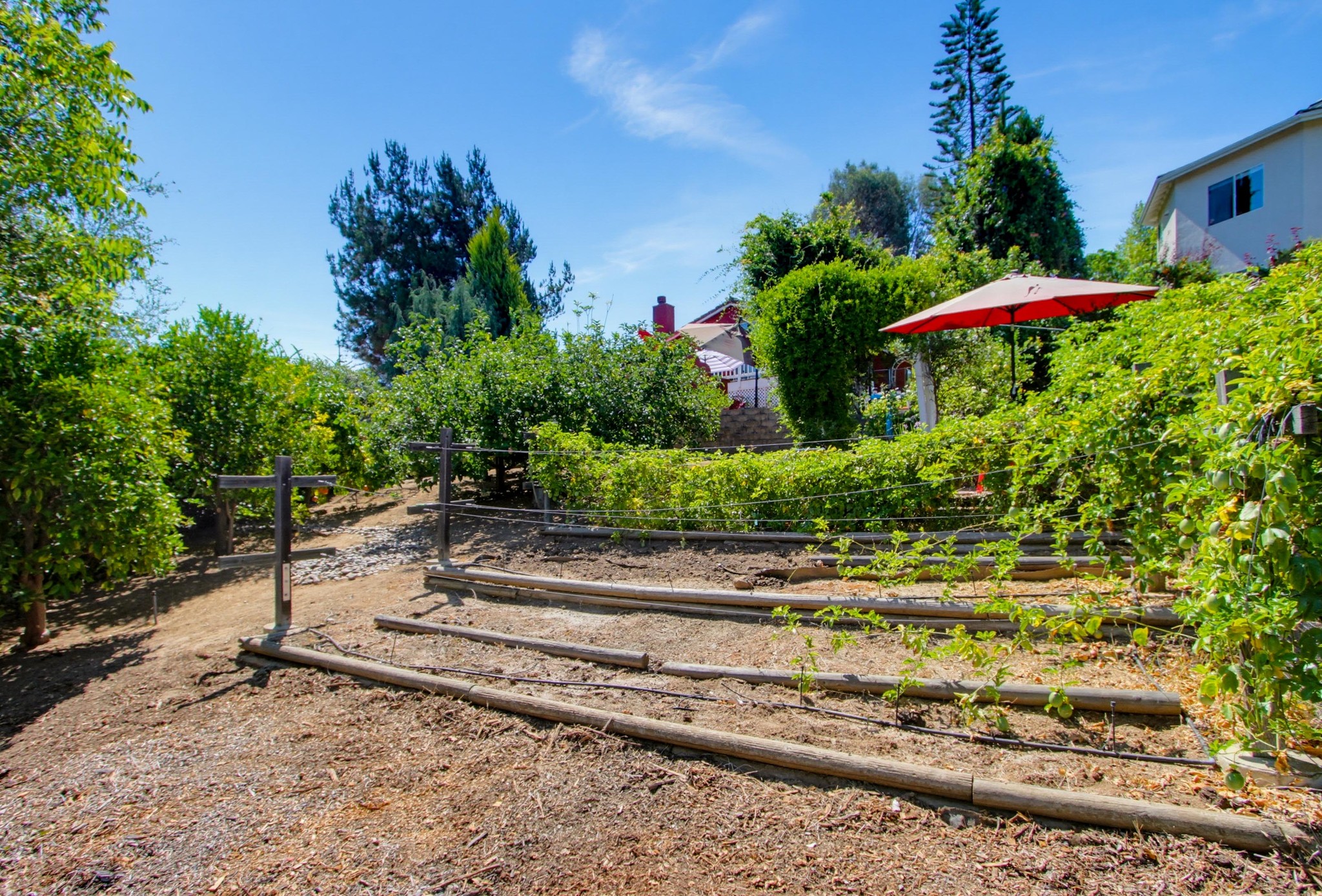 Virtual tour photo 79 of 93 for 2202 Crest Hill Ln