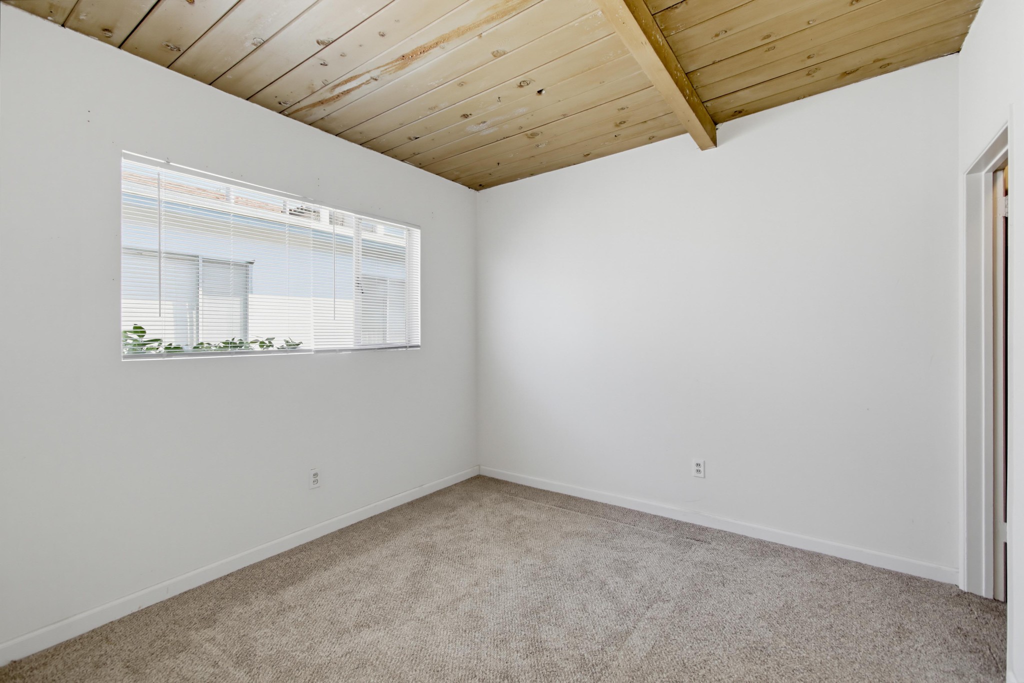 Virtual tour photo 27 of 67 for 221 D Ave