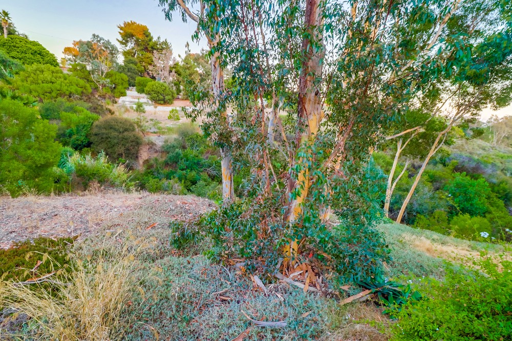 Virtual tour photo 91 of 92 for 2213 Westland Avenue