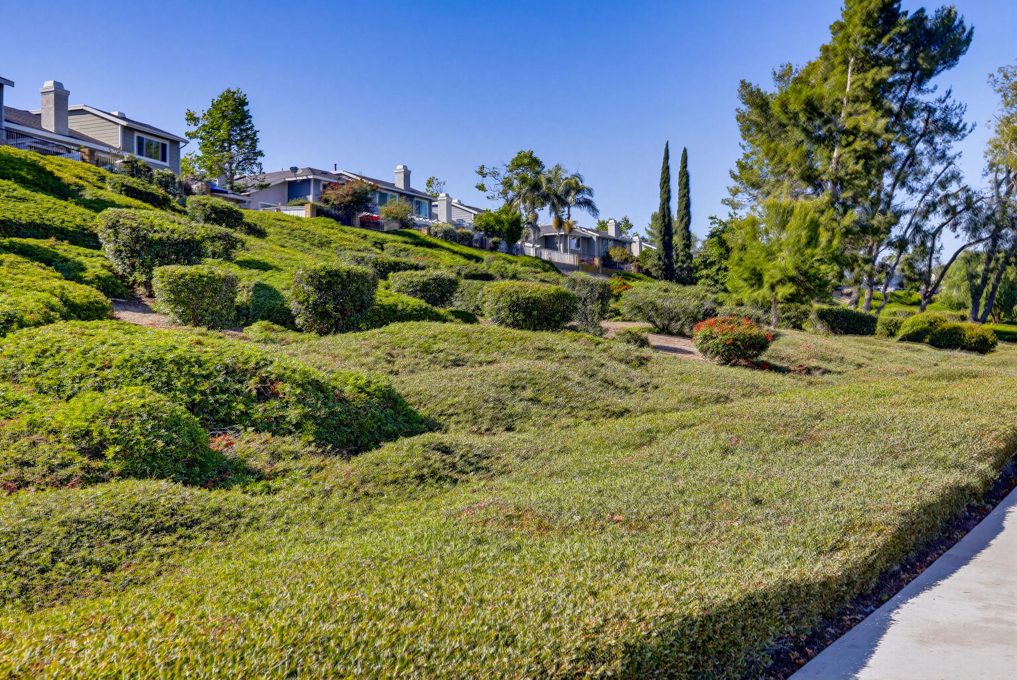 Virtual tour photo 54 of 76 for 22166 Summit Hill Dr #1