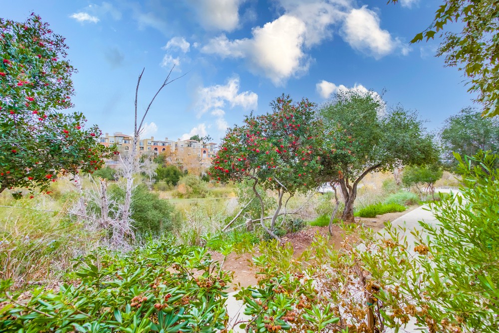 Virtual tour photo 35 of 37 for 2220 Camino De La Reina #111