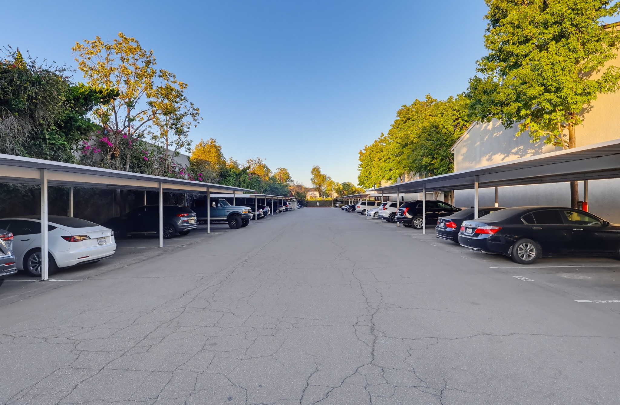Virtual tour photo 102 of 103 for 22232 S Vermont Ave #104