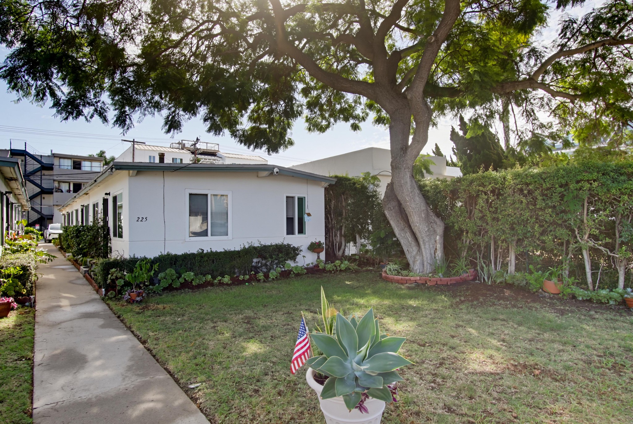 Virtual tour photo 4 of 30 for 225 D Ave