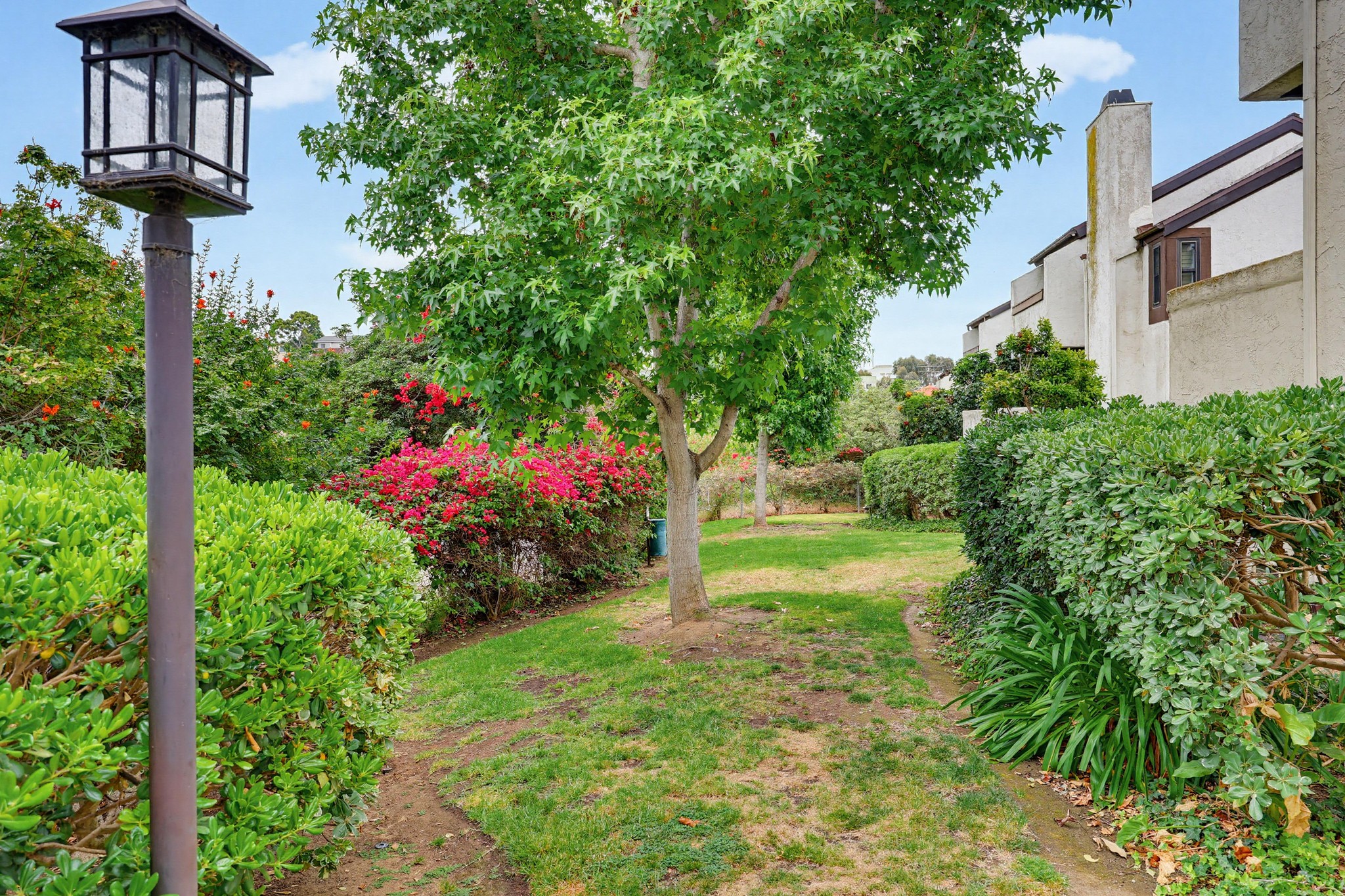 Virtual tour photo 5 of 58 for 2263 Caminito Pajarito