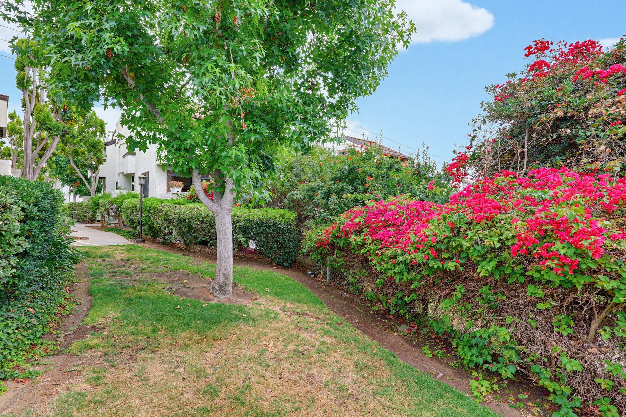 Virtual tour photo 6 of 58 for 2263 Caminito Pajarito