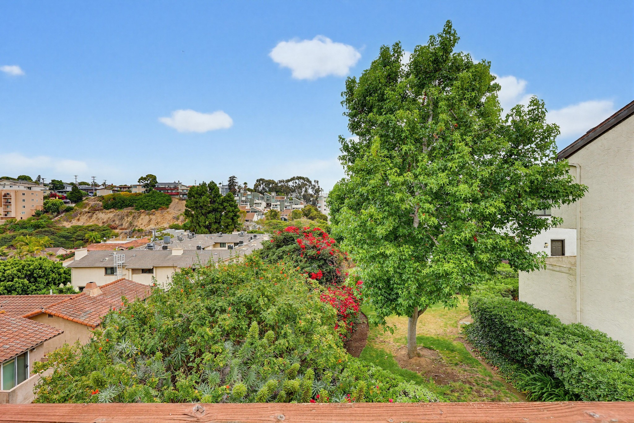 Virtual tour photo 49 of 58 for 2263 Caminito Pajarito