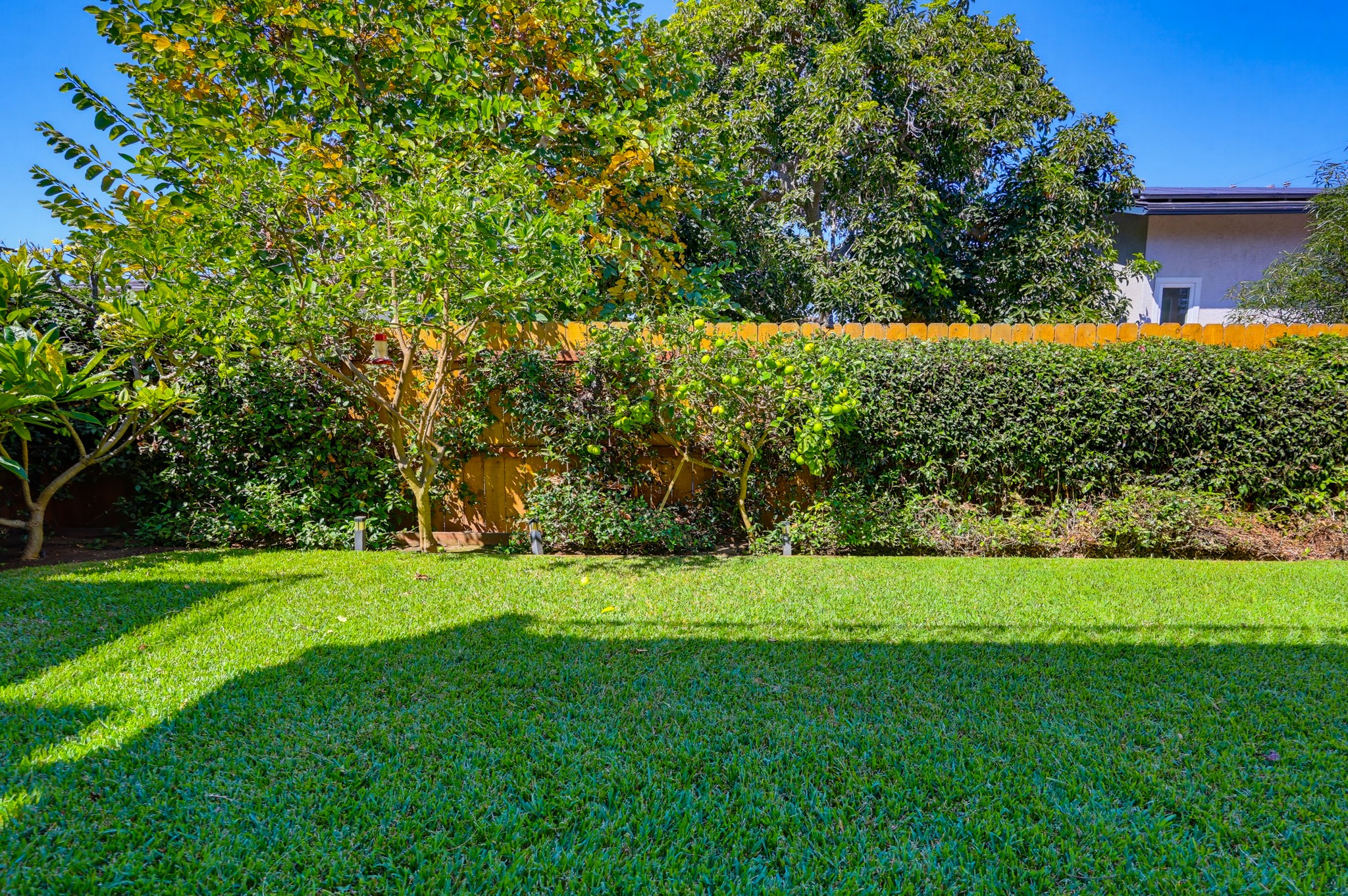 Virtual tour photo 109 of 125 for 2264 Soto St