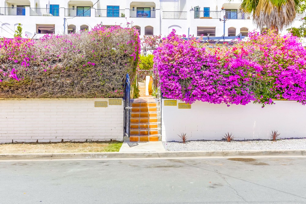 Virtual tour photo 1 of 46 for 2290 Congress St