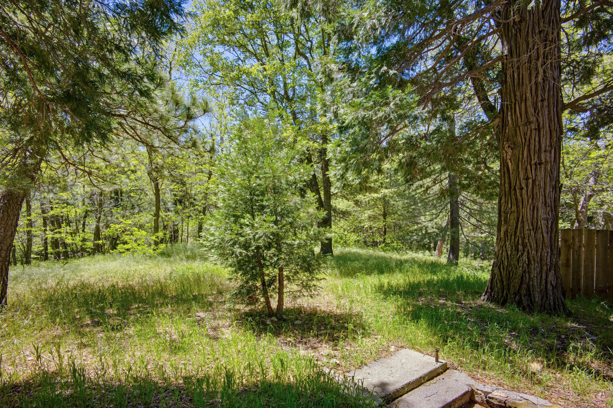 Virtual tour photo 29 of 32 for 22951 Redwood Way