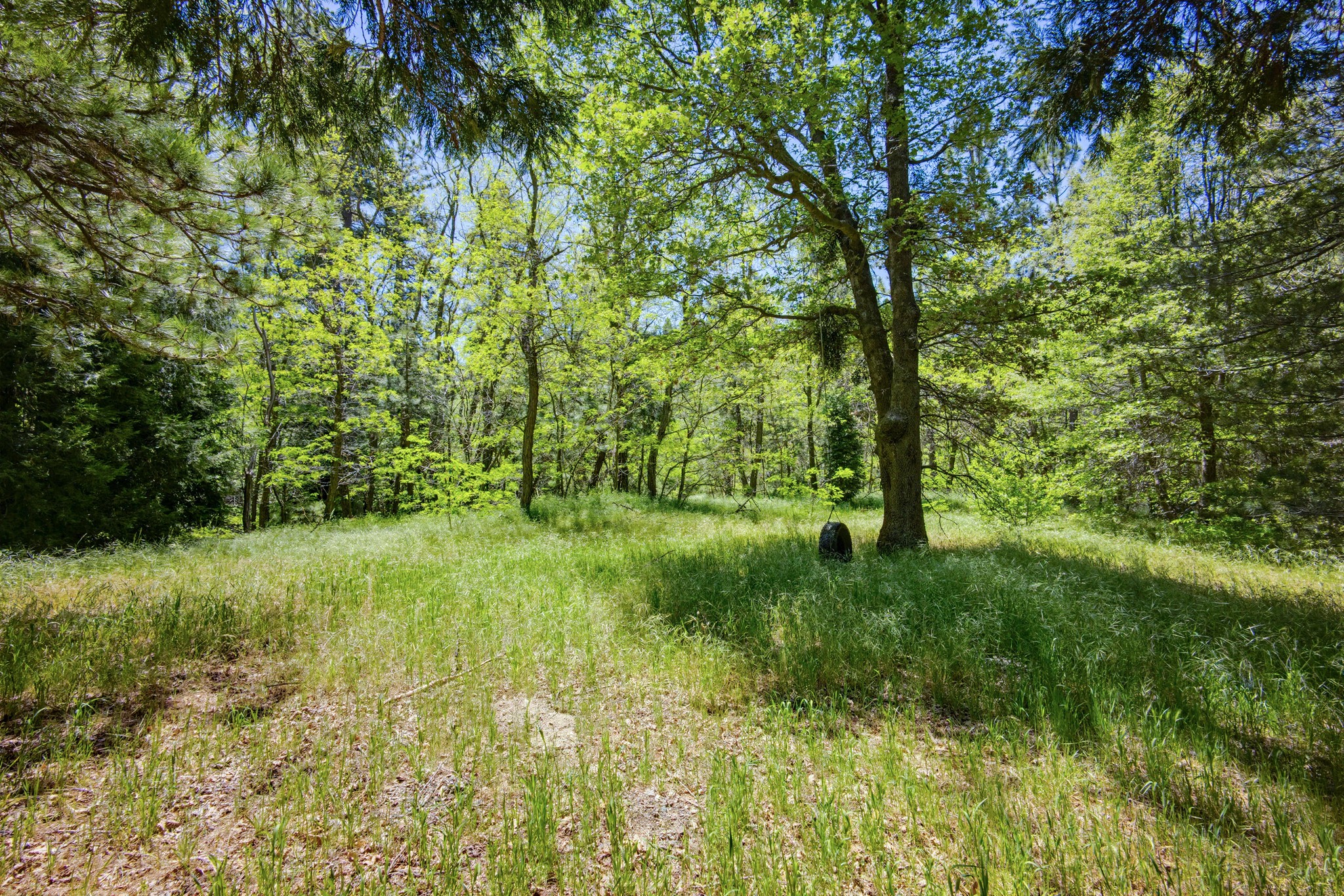 Virtual tour photo 30 of 32 for 22951 Redwood Way